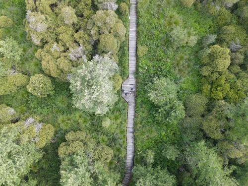 DJI_3047.JPG